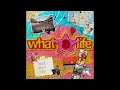 FISHER Ft Florence Arman - What A Life [DFX acapellas]