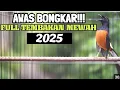 Download Lagu #2 PANCINGAN MURAI BATU AUTO GACOR FULL KRETEK 100 % CEPAT RESPON rekomendasi