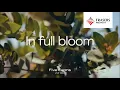 Five Farms In Full Bloom