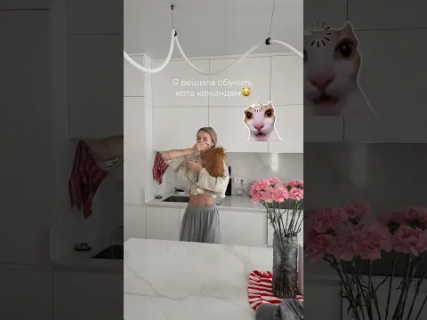 ОБУЧИЛА КОТА КОМАНДАМ #влоги #влог #кот