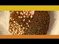 Elevate your grain marketing with Cargill Elevate
