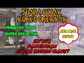 Download Lagu Suara panggilan cucak kombo jantan dan betina _ pancingn cucak kombo macet jadi gacor lagi