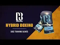 BIGS Reviews Hybrid Boxing 16oz Training Gloves