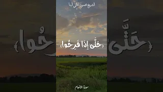 فلما نسوا ما ذكروا به محمود علي البنا محمود على البنا Quran اكسبلور 