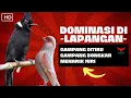 Download Lagu ISIAN WAJIB UNTUK DOMINASI LAPANGAN❗️KENARI CILILIN LOSSS❗️