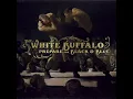 The White Buffalo - Into The Sun (AUDIO)