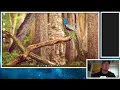 CIS 1500 - Intro to Programming Java