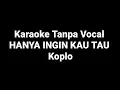 Download Lagu Karaoke Tanpa Vocal Hanya Ingin Kau - Koplo