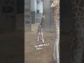 This baby giraffe is so cool