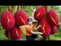 Download Lagu Ly Trieu Ca: Harvesting Sweet Jackfruits \u0026 Making Jackfruit Seed Cakes | Secret Village Recipe