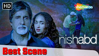 जिया और विजय आनंद का लव अफेयर |Nishabd Movie Scene |Bollywood Romance|Amitabh Bachchan Jiah Khan
