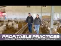 Profitable Practices: Revolutionizing sheep and wool with Ryan and Romy Schill