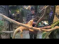 LegaSea Aquarium - Exceeded our expectations
