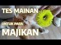 Download Lagu Cobain 7 Mainan Kucing, Mana yang Paling Disukai? 😺🎉 | Uji Coba Mainan Kucing Part 1!