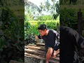 Download Lagu Garcep 😝 #comedy #komedi #lubukbasung #minangkocak #sumaterabarat #shorts