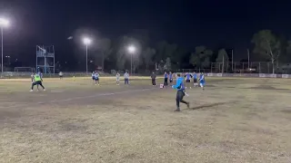                     دندنها