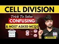 Trick To Solve Confusing MCQs From Cell Cycle Cell Division DNA Amount Chromosomes Chromatids
