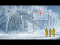 Download Lagu Unicorns Existed?! The Fossil That Shocked Scientists