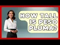 How Tall Is Peso Pluma - Latin Music Revolution