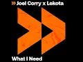 What I Need - Joel Corry & Lekota