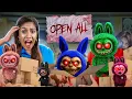 Download Lagu I BOUGHT 100 Labubu Dolls | All Dolls Went Missing