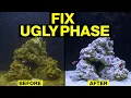 Top 10 Fixes to Turn the Nasty Brown Stage of Your Saltwater Tank Cycle Around