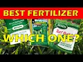 What s The BEST Fertilizer To Use On St Augustine Grass It s NOT What You Might Think