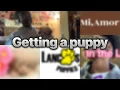 Getting a puppy from Lancaster puppies