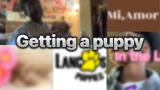 Getting a puppy from Lancaster puppies