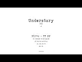 Download Lagu Pirvu - dOi de TT [Understory002]
