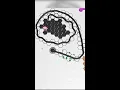 How to play - Hexanaut io
