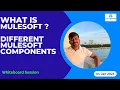Whiteboard Session - What is MuleSoft and Its components Anypoint Platform Anypoint Studio