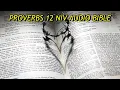 PROVERBS 12 NIV BIBLE with text