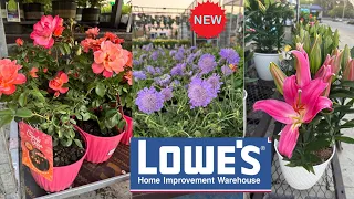 LOWES BEST NEW PLANTS-ARRIVALS FOR HOW TO MAKE YOUR GARDEN BEAUTIFUL
