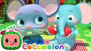 Download The Hiccup Song | CoComelon Furry Friends | Animals for Kids MP3