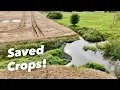 Download Lagu The Beaver Dam That Almost Ruined the Harvest!