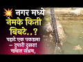 अहिल्या नगर ब्रेकिंग : नेमके किती बिबटे..? पहाटे एक पकडला – दुपारी दुसरा! गावात संभ्रम | Star India1