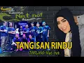 Download Lagu TANGISAN RINDU COVER DIANA SASTRA feat NETNOT