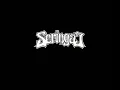 SERINGAI Dilarang di Bandung - lirik