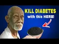 STOP EVERYTHING Reverse Diabetes in 27 Days with Dr Sebi s PROVEN Method