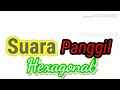 Download Lagu Suara Panggil Hexagonal pemanggil Walet Terbaru