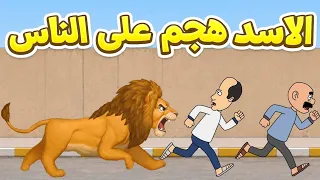 الاسد شرد وهجم على الناس  دندنها