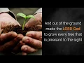 King James Bible KJV - Genesis 2