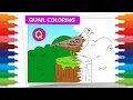 Animals ABC Coloring Fun Quail Comes Alive Letter Q