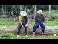 Download Lagu Você Também Não é! #humor