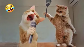 Funny Animals Compilation 🤣😅 Funniest Cats and Dogs 2025 🤣