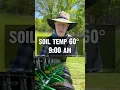Make sure you check the soil temperature before planting