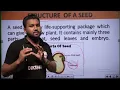 Class 5 Science Part-1 Growing Plants