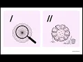 Grade 7 Python Programming U03 L03 Setup Misconception Check Overview