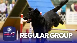 Unreal Speed from the Regular Group 2026 AKC National Agility Championship